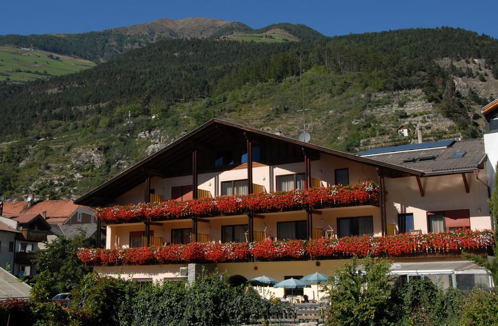 Hotel Anna 3*